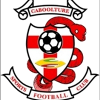 https://img.hcqzfl.cn/img/football/team/534b77e095bfdfedf22c1f564a596361.png